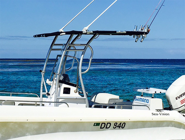 プロモーション! Dolphin pro2センターコンソール - Fishing Rod Boat のレビューと価格