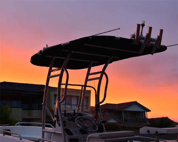 プロモーション! Dolphin pro2センターコンソール - Fishing Rod Boat のレビューと価格